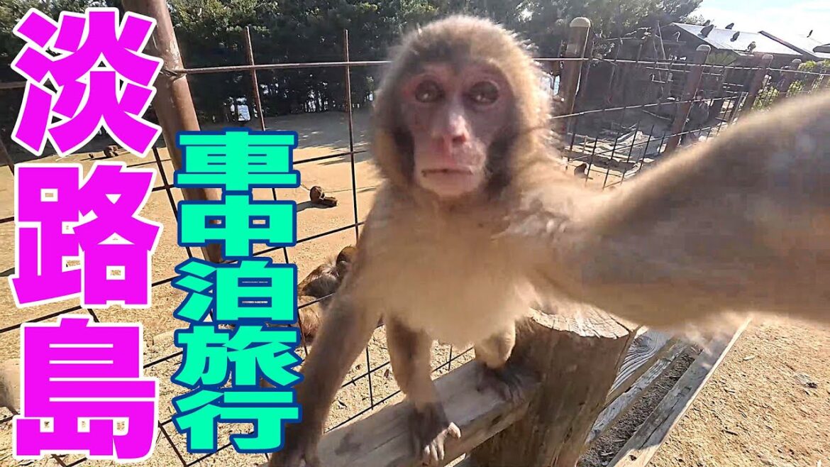 淡路島【車中泊】の旅