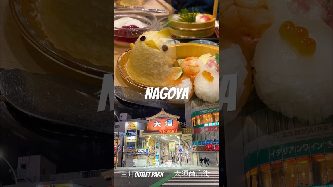 Nagoya day trips 🥶