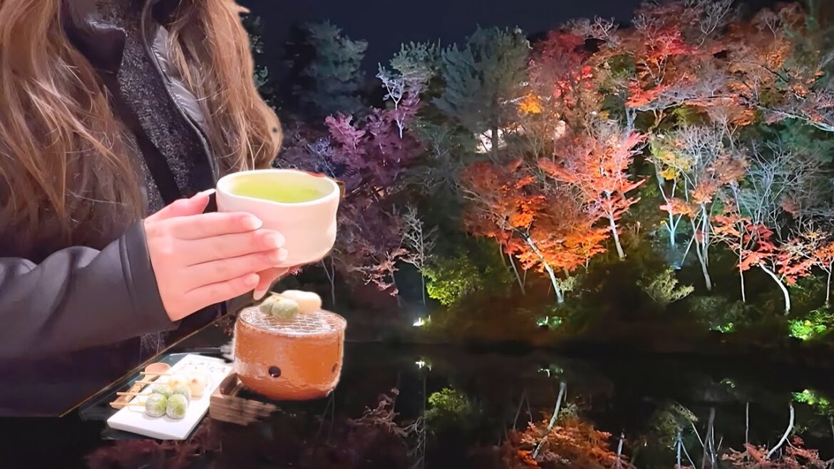 SUB【京都 vlog】紅葉🍁1泊2日女ひとり旅 | 錦市場、1人飲み、紅葉も楽しむ日/京都旅行 SUB【京都 vlog】紅葉🍁1泊2日女ひとり旅 | 錦市場、1人飲み、紅葉も楽しむ日/京都旅行