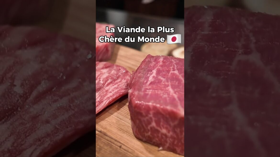 La VIANDE la PLUS CHERE DU MONDE ๐ฏ๐ต #japon #vlog #kobe La VIANDE la PLUS CHERE DU MONDE ๐ฏ๐ต #japon #vlog #kobe