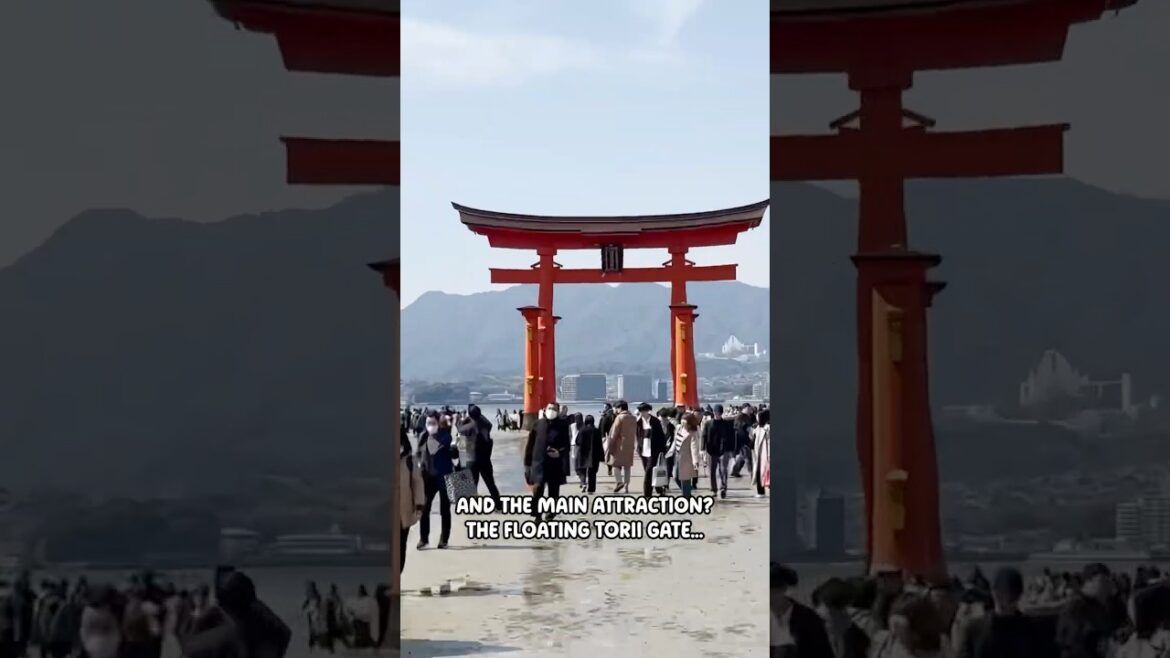 Come with me for my recent trip to Miyajima Island! ⛩️ #shorts #japan #travel #hiroshima #miyajima Come with me for my recent trip to Miyajima Island! ⛩️ #shorts #japan #travel #hiroshima #miyajima