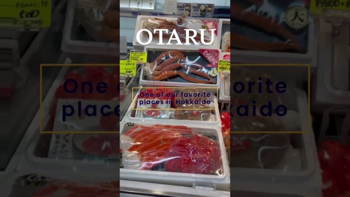 #otaru #hokkaido #japan #travel #hokkaidojapan #winter #seafood #fish #japanesefood #food #salmon