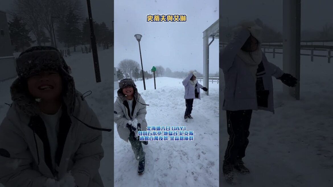 北海道六日玩雪遊DAY1-2 #登別溫泉 #石水亭 #登別地獄谷 #尼克斯海洋 #函館山 #函館百萬夜景 #金森倉庫 #函館GREENPIA #大沼飯店 20241227 #SHORT #REELS