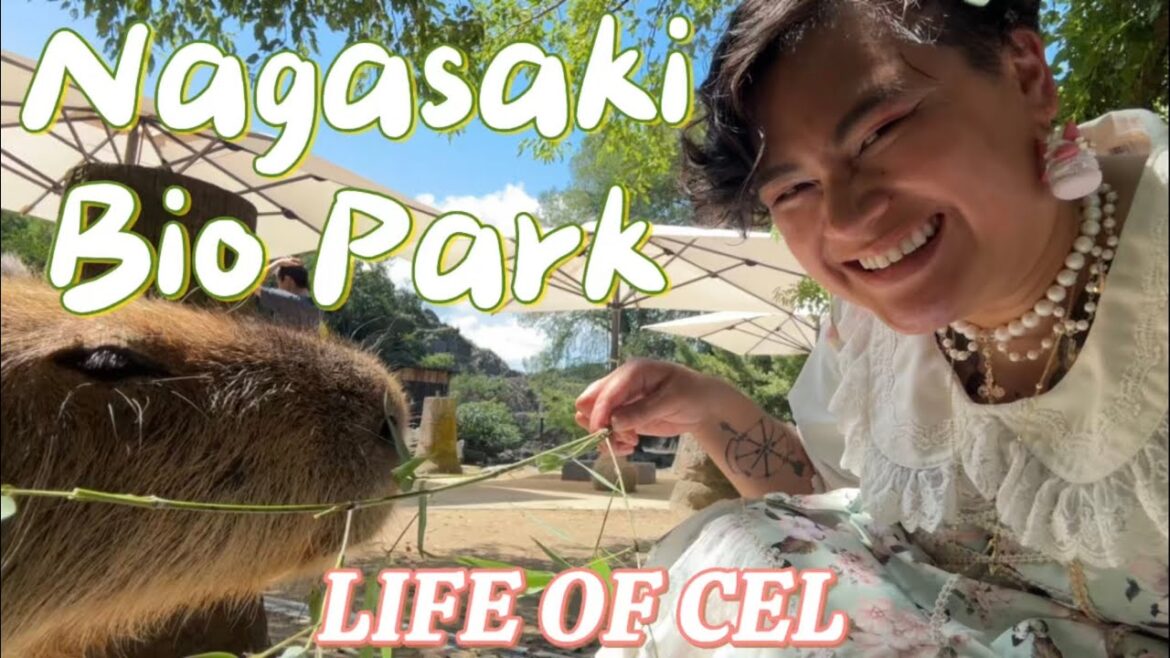 Petting All the Cute Animals at Nagasaki Bio Park! Petting All the Cute Animals at Nagasaki Bio Park!