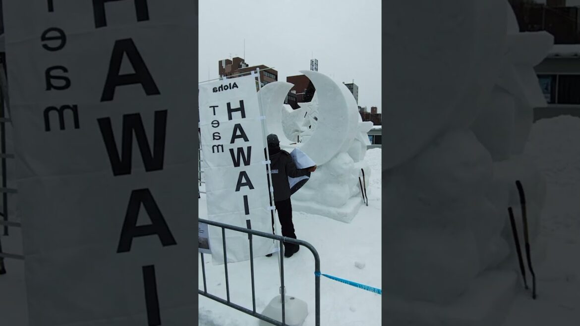 #trip #Snow Sculpture Contest  #sapporo #hokkaido #travel