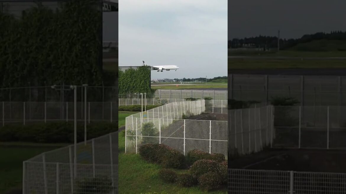 Air NZ is landing #traveljapan #airplane #chiba Air NZ is landing #traveljapan #airplane #chiba