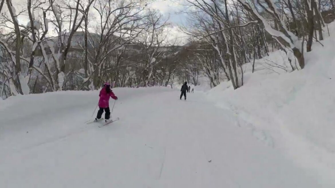 February 2025 - Hakube - Tsugaike Kogen - forest run