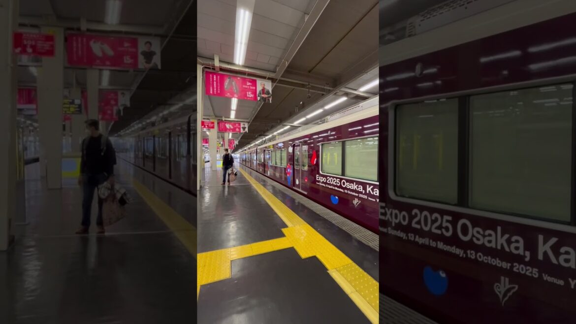 Train terminal? #shorts #piecesofcai #train #terminal #osaka #japan #travel #shinkansen #tour #fun