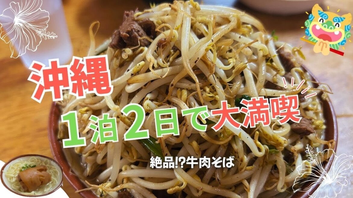 【沖縄】5泊6日で巡る国内推し活旅〜沖縄編#2〜大宜味村の人気店 前田食堂の牛肉そばを食べに行く!〜 【沖縄】5泊6日で巡る国内推し活旅〜沖縄編#2〜大宜味村の人気店 前田食堂の牛肉そばを食べに行く!〜