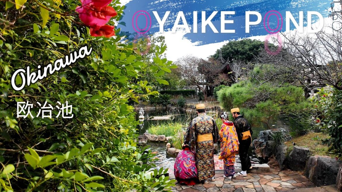 🇯🇵 Oyaike Pond garden Okinawa – Japan Walking Tour 4K 🇯🇵 Oyaike Pond garden Okinawa - Japan Walking Tour 4K