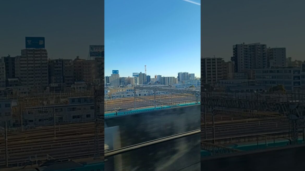 仙台銘菓「萩の月」と東京新幹線車両基地(尾久駅付近)上越新幹線東京行きの左側車窓 2025.2.6 「萩の月」のコピーした様なお土産品沢山ありますが、やはり「萩の月」おいしい