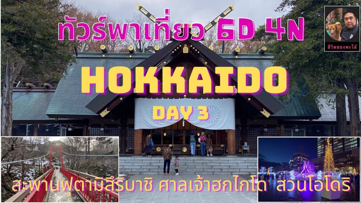 TTN Tour พาเที่ยว Hokkaido day 3  สวนฟูคิดาชิ  ศาลเจ้าฮอกไกโด ฤดูใบไม้ร่วง | พะโล้อยากเที่ยว Ep.29.3
