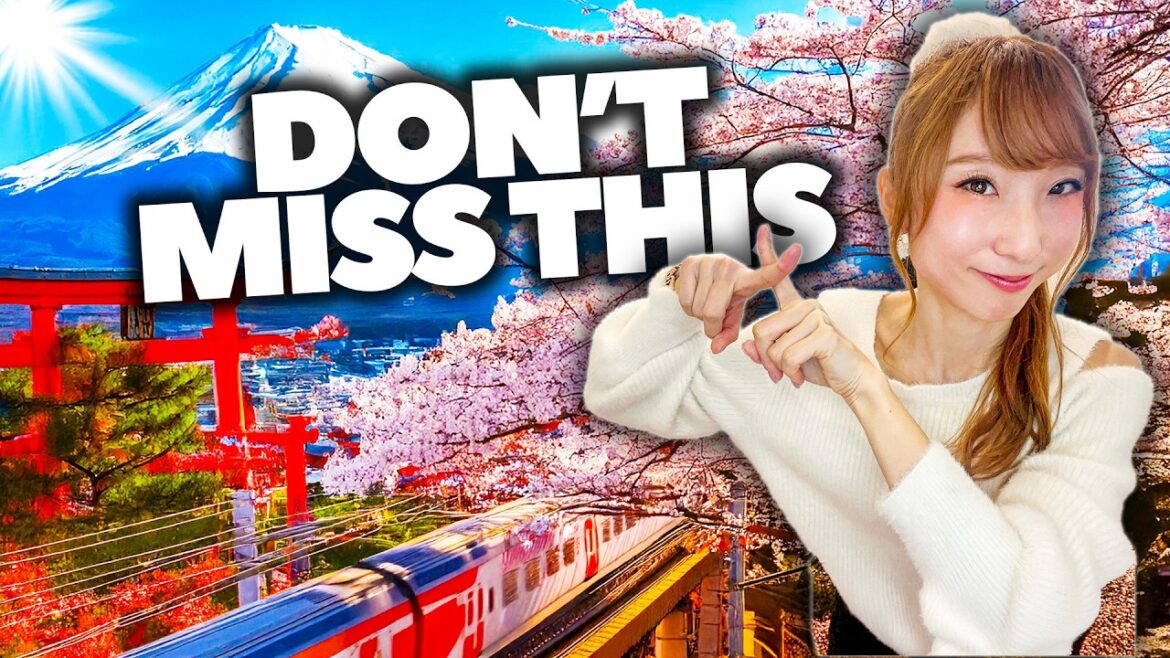 Japan Has CHANGED | 5 Big Travel Update 2025