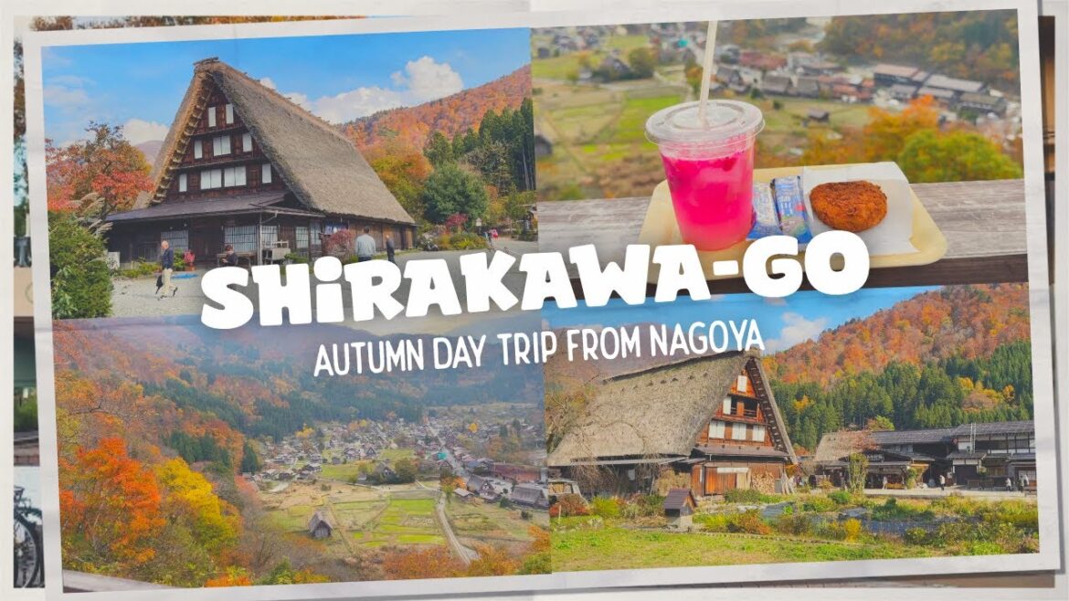 Autumn in Nagoya 🍁 Shirakawa-Go, Gifu - Day Trip From Nagoya
