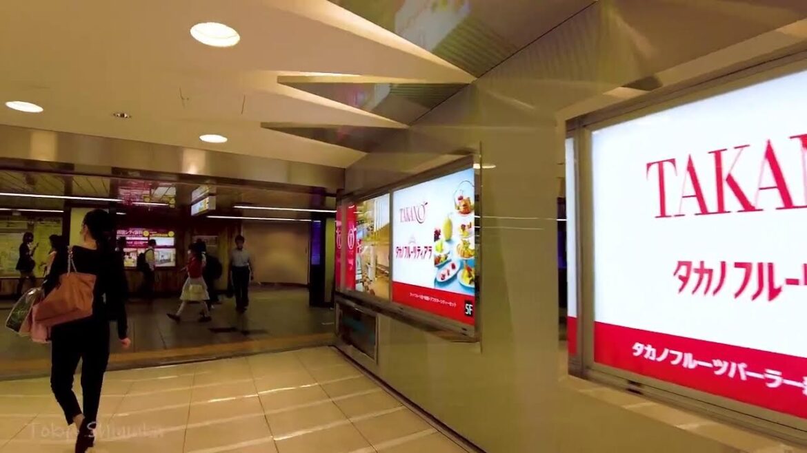 🔴Girl’s Tokyo Walk 24/7🐶Shibuya, Nakano, Ikebukuro, etc.💖 🔴Girl’s Tokyo Walk 24/7🐶Shibuya, Nakano, Ikebukuro, etc.💖