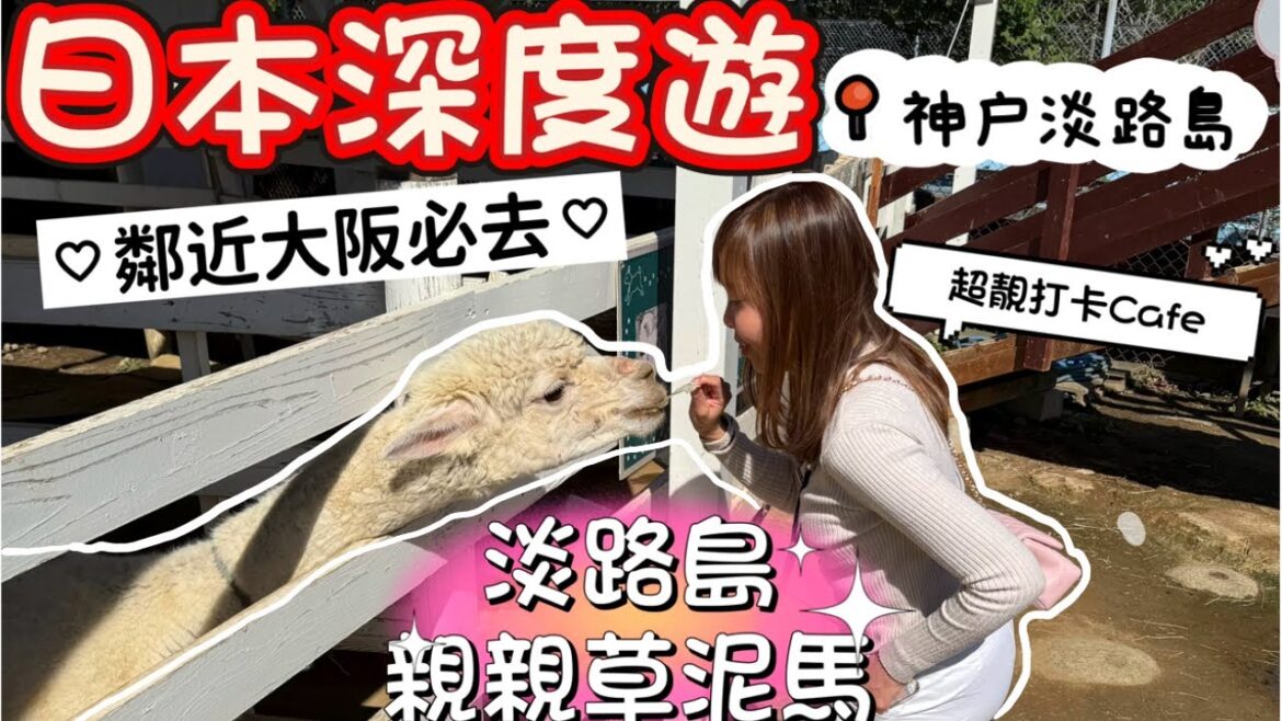 【神戶淡路島🇯🇵4K】日本深度遊|玩厭大阪必去淡路島|草泥馬動物園 |幸福pancake|必食神戶牛| 日出酒店marriott fairfield|kobe|awajishima|angrycrew 【神戶淡路島🇯🇵4K】日本深度遊|玩厭大阪必去淡路島|草泥馬動物園 |幸福pancake|必食神戶牛| 日出酒店marriott fairfield|kobe|awajishima|angrycrew