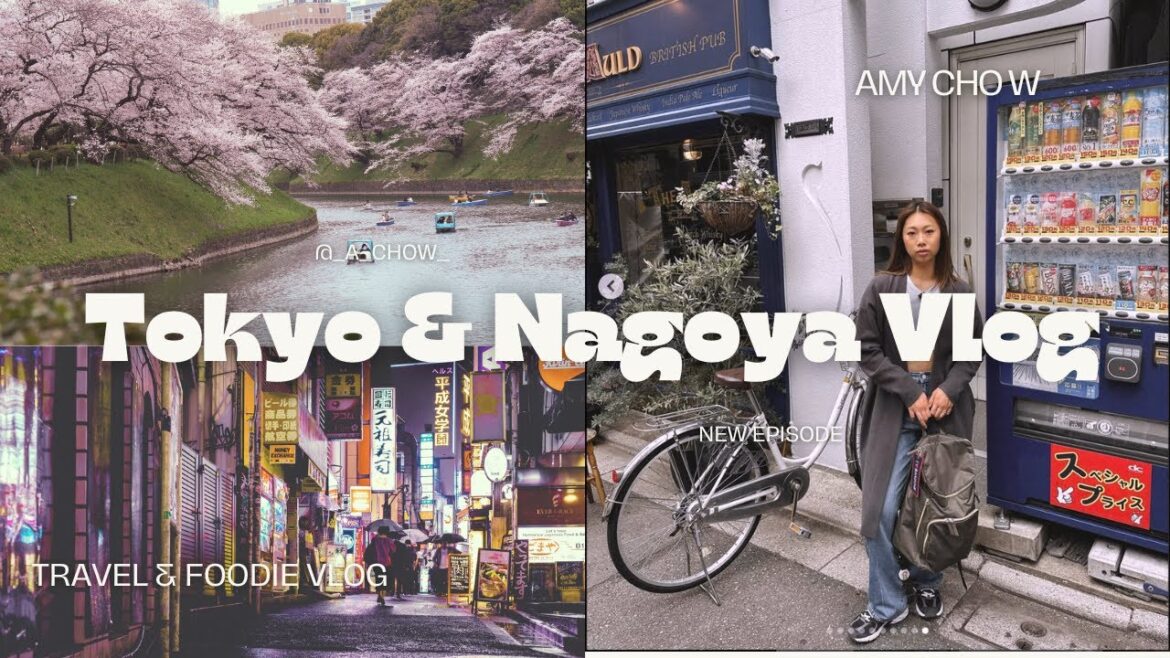 TRAVEL & FOODIE VLOG: let's go luxury vintage shopping in Nagoya, Japan (Ueno park, matcha, noodles)