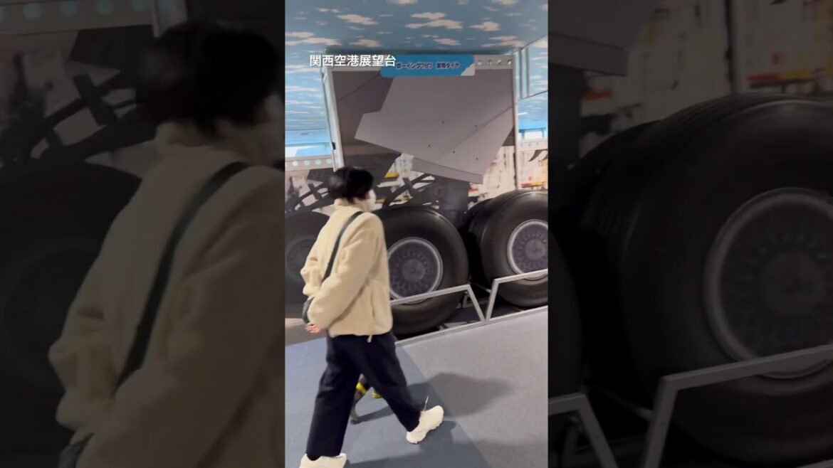 関西空港 / 간사이공항 4 #日本 #旅行 #大阪 #関西 #空港 #飛行機 #京都 #japan #japantravel #airport #airplane #일본 #일본여행 #일본어