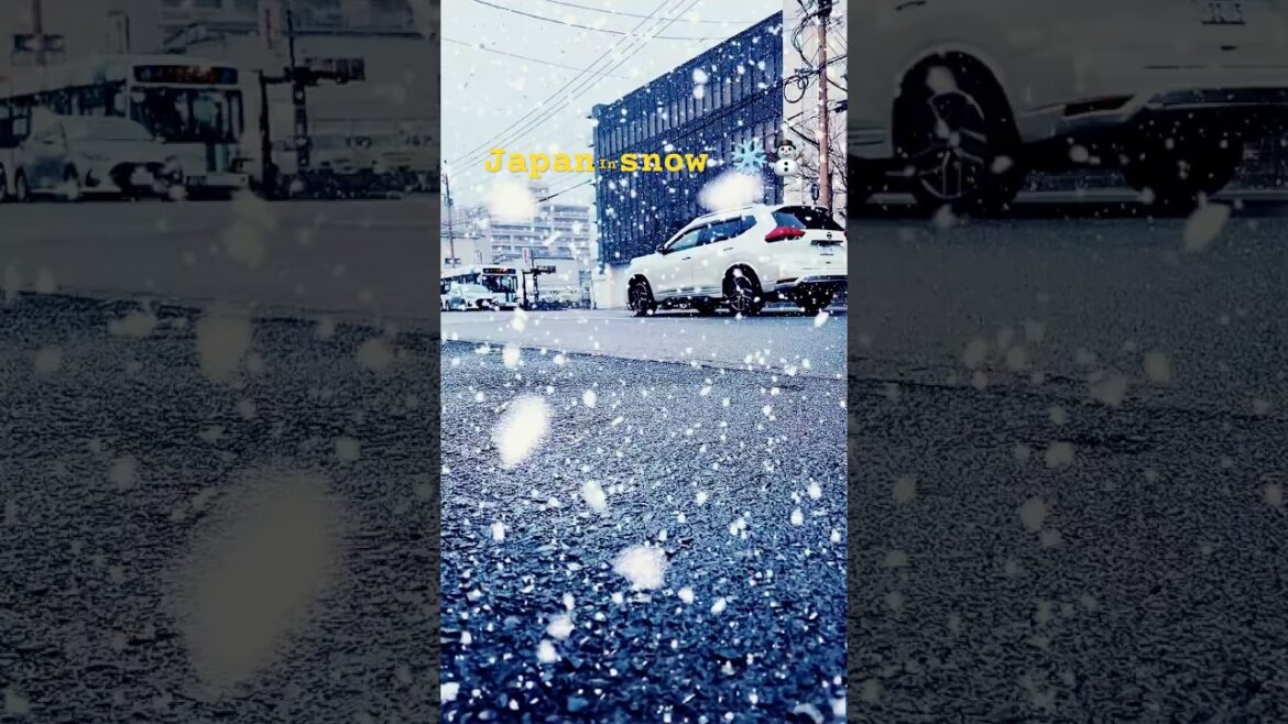 Beautiful views in Japan snow ❄️ 2025 #japan #snow #2025 #travel #winter #shorts #japanwinter