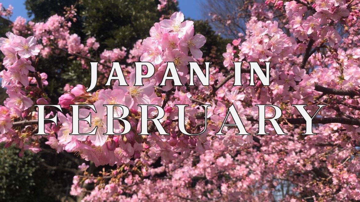 Discover Japan in February : From Snow to Flowers