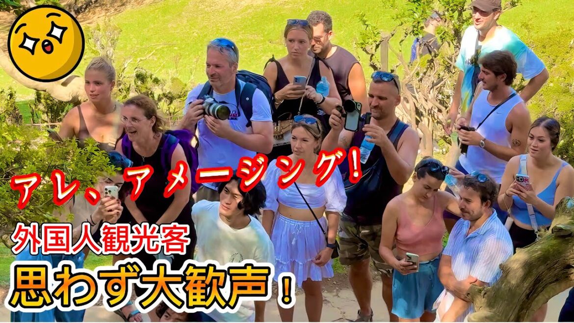 アメージング!外国人観光客が、思わず大歓声を上げた!京都嵐山。Amazing! Tourists couldn’t help but let out loud cheers! Kyoto Japan アメージング!外国人観光客が、思わず大歓声を上げた!京都嵐山。Amazing! Tourists couldn't help but let out loud cheers! Kyoto Japan