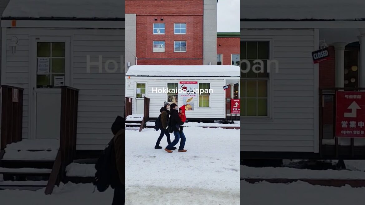 The beauty of Hokkaido #Sapporo #japan #hokkaido #SnowFestival