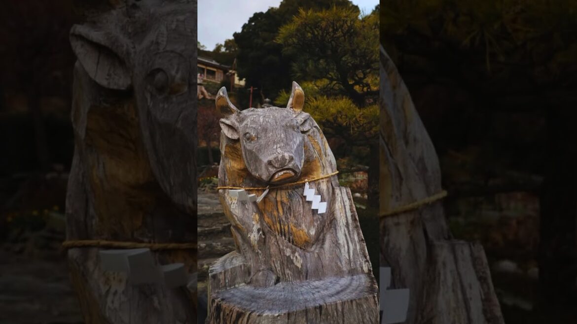 đī¸ THIS SEASIDE TOWN IN JAPAN IS A DREAM! 𤊠đī¸ THIS SEASIDE TOWN IN JAPAN IS A DREAM! đ¤Š