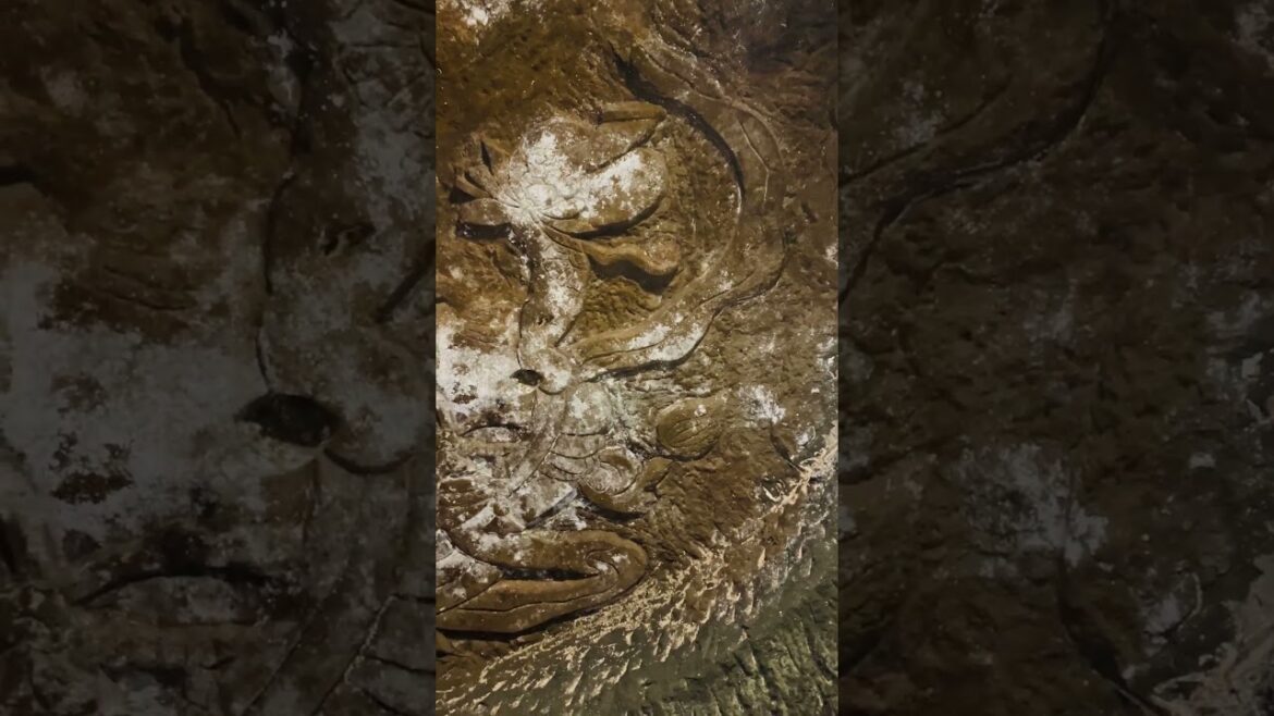 The mysterious Taya Caves near Yokohama, south of Tokyo The mysterious Taya Caves near Yokohama, south of Tokyo