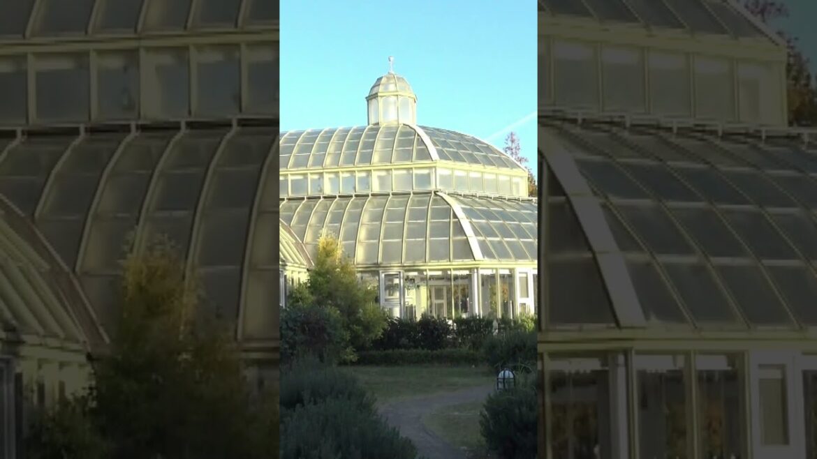 ハウステンボス フォレストヴィラにあるガラス張りの植物園