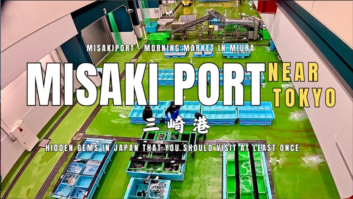 Misaki Port,2 hours from Tokyo,Japan travel,Near Tokyo,Miura in kanagawa,Hidden gems Misaki Port,2 hours from Tokyo,Japan travel,Near Tokyo,Miura in kanagawa,Hidden gems