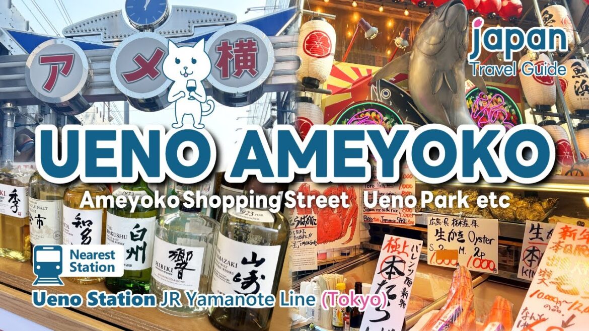 【UENO AMEYOKO／tokyo】Ameyoko Shopping Street, Eat around, Japanesefood, Ueno Park.｜Japan Travel Guide