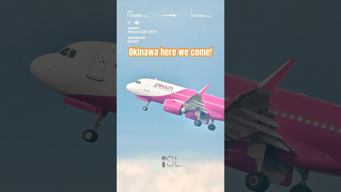 Plane Spotting | Peach Airbus A320 takeoff in Fukuoka! #planespotting #airbus320