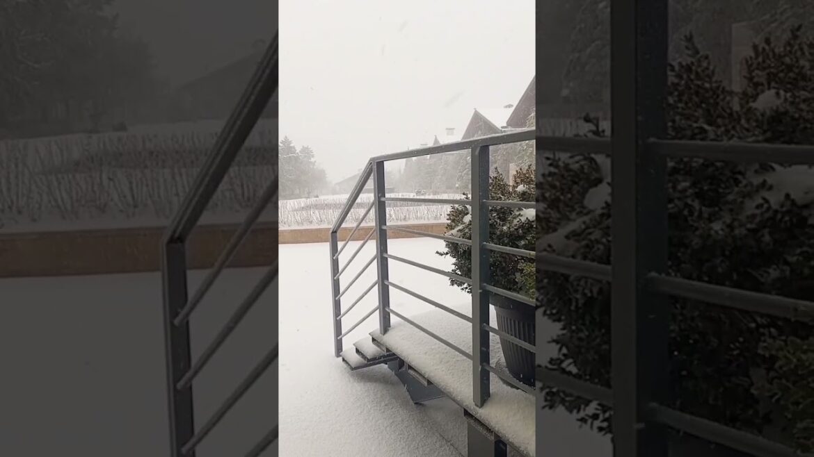 INSANE 24-Hour Snowstorm in 50sec Transforms Everything! (Must-See Before & After) #shorts