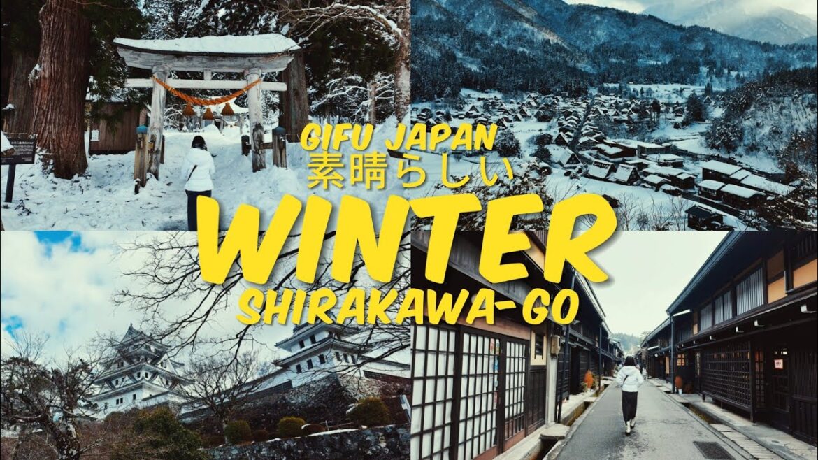 DAY 2: Exploring Gifu Winter | japan couple travel vlog | vlog dji camera osmo pocket 3