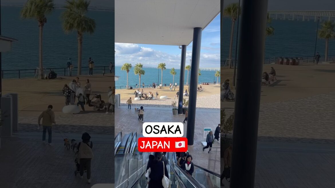 “Exploring Osaka’s Most Beautiful Places! 🇯🇵✨ #Osaka #JapanTravel”#english #travel #japantravel “Exploring Osaka’s Most Beautiful Places! 🇯🇵✨ #Osaka #JapanTravel”#english #travel #japantravel