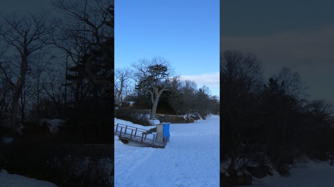 冬景色の大沼公園