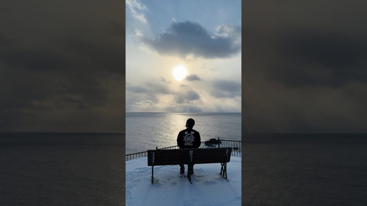 Japan Winterreise Short Vlog 1 - Hakodate ❄️