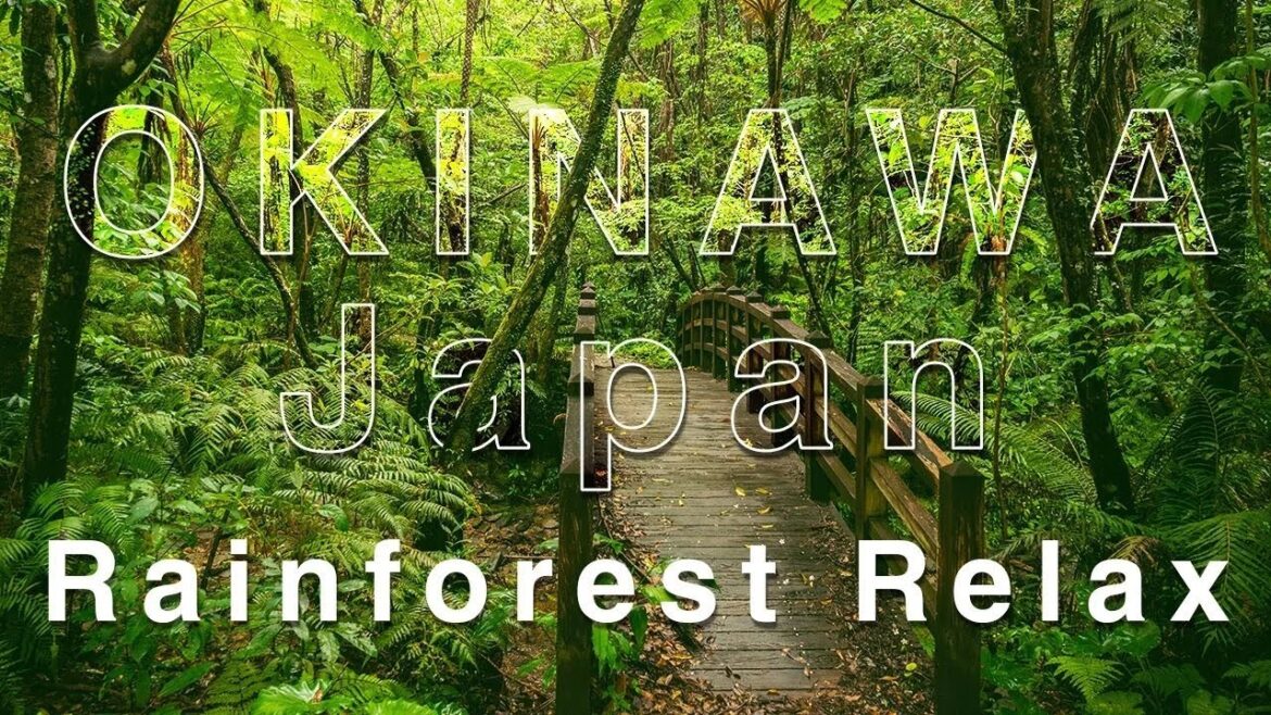 Japan Hikes - Okinawa - Fukugawa no Taki | 4K