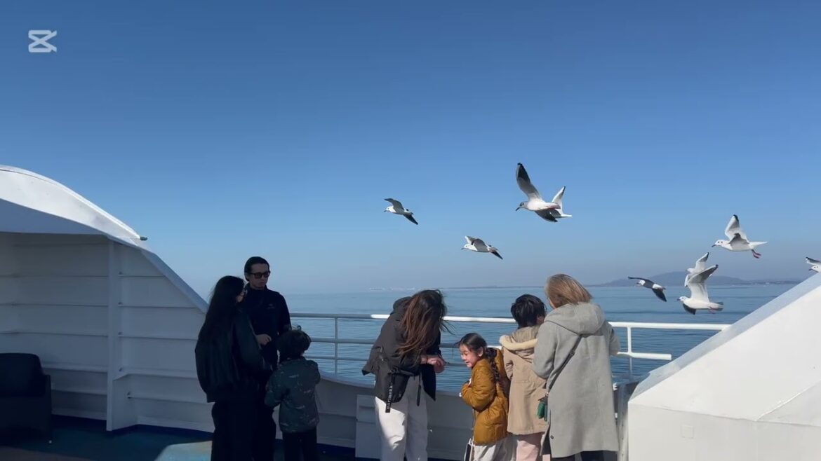 kyushu road trip: kumamoto - nagasaki