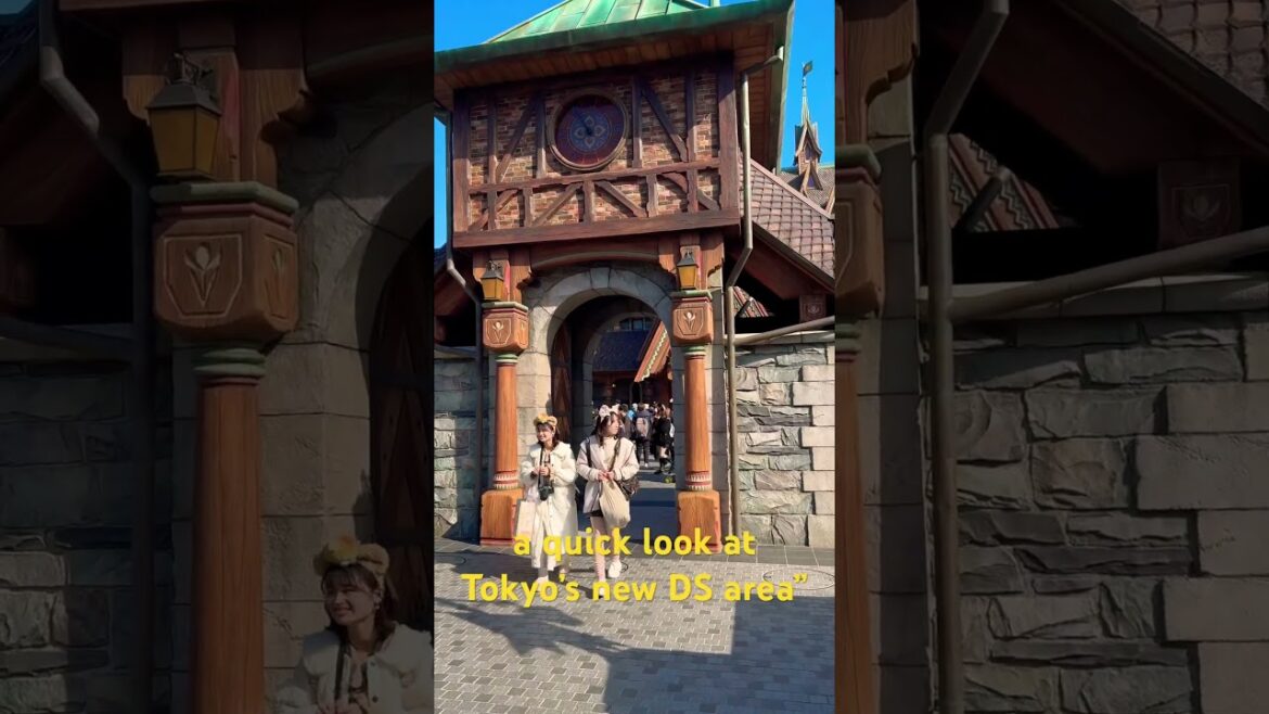 Tokyo's New DS Area Revealed