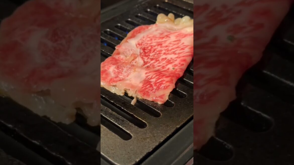 #trip #Shiraoi beef #hokkaido