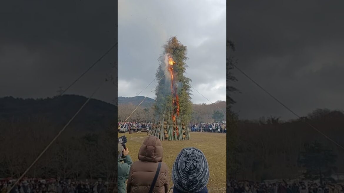 【Kobe】Japanese Culture Burning New Year’s Decorations – Municipal Arboretum 【Kobe】Japanese Culture Burning New Year’s Decorations - Municipal Arboretum