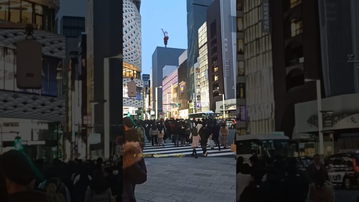 Ginza- Tokyo’s Iconic Shopping District #shorts #japan #travel Ginza- Tokyo's Iconic Shopping District #shorts #japan #travel