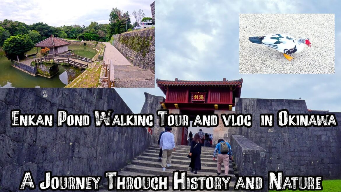 Enkan Pond Walking Tour and vlog  in Okinawa | A Journey Through History and Nature