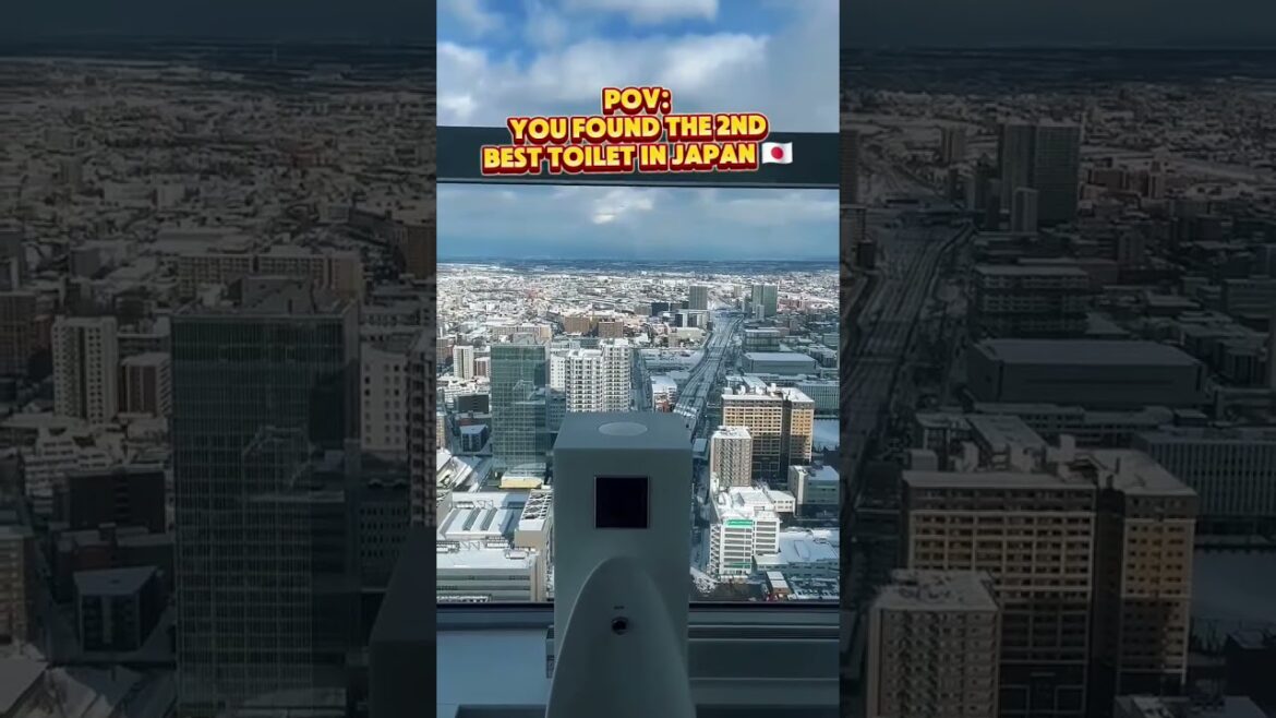 POV: YOU FOUND THE 2ND BEST TOILET IN JAPAN
