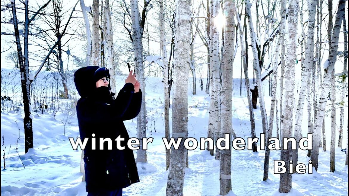 [SAPPORO] Biei Tour, Tokachi Butadon Ippin