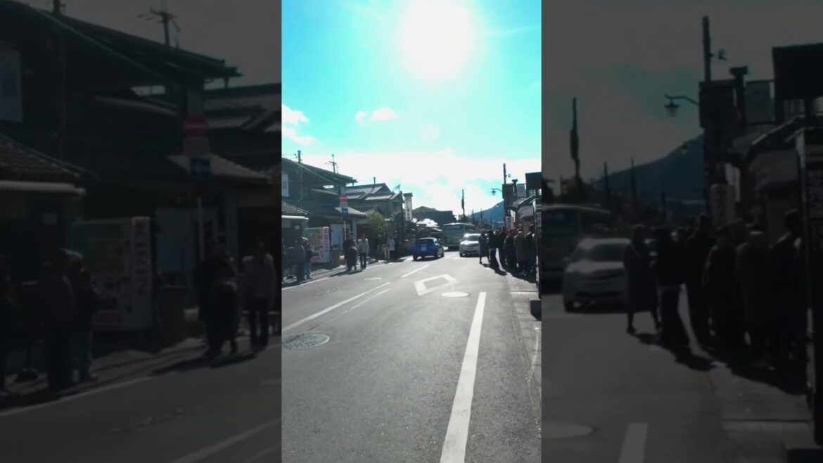 Japan Kyoto : The Enchanting Bamboo Grove of Arashiyama #traveljapan #japantravel #kyoto Japan Kyoto : The Enchanting Bamboo Grove of Arashiyama #traveljapan #japantravel #kyoto