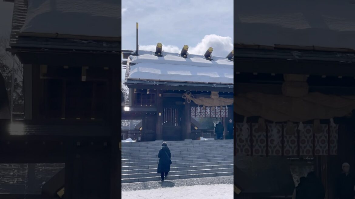 札幌vlog｜雪の北海道神宮☃️ #sapporo #japan #japanesefood #神社巡り #sushi #北海道神宮 #北海道 #travel #vlog #旅行#trip