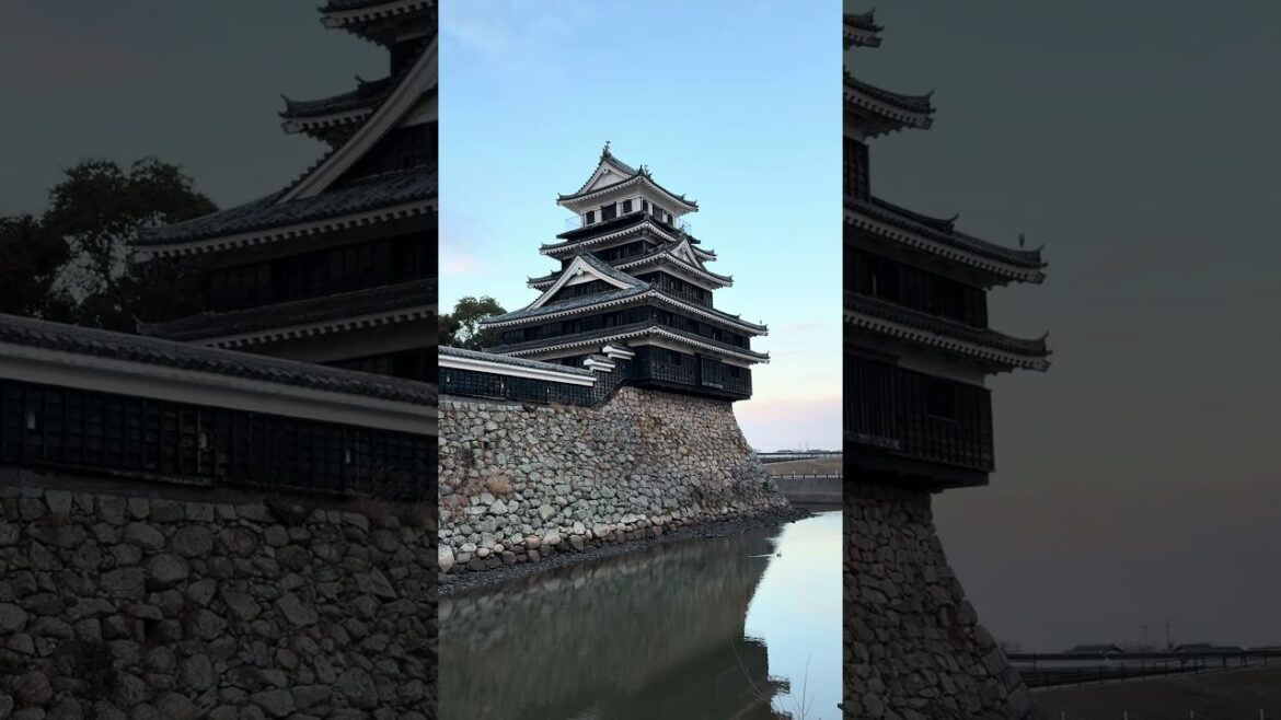 中津城 なかつじょう Nakatsu Castle 奥平家歴史資料館 #japan #旅行 #shorts #castle #nakatsu #大分県 #oita #日本旅行 #九州
