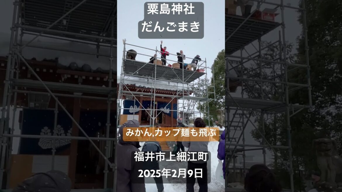 「粟嶋神社、だんごまき」無病息災願う。室町時代(約四百年前)、疫病がはやった際、神社に米を供えたところ治まり、そのお礼として米を団子にしてまいたのが始まりとの事。福井市 上細江町。2025年2月9日。